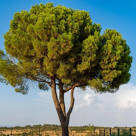 Local Santa Marta Villa