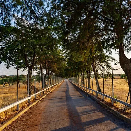 Local Santa Marta Villa Zebreira