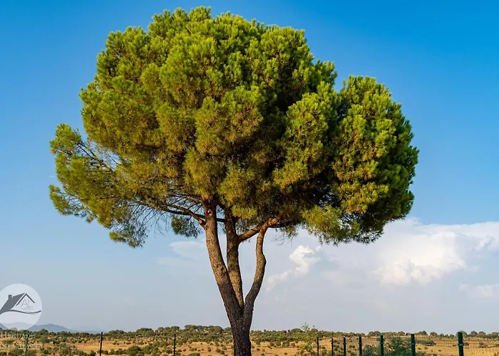 Local Santa Marta Villa